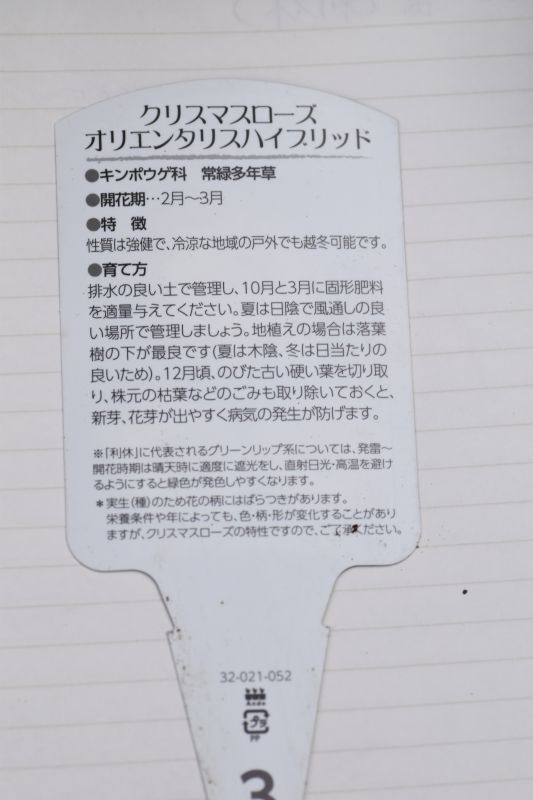 画像2: 利休さん咲くかも？苗　曽田園芸オリジナルラベルの紹介　（ラベルのみは非売品）